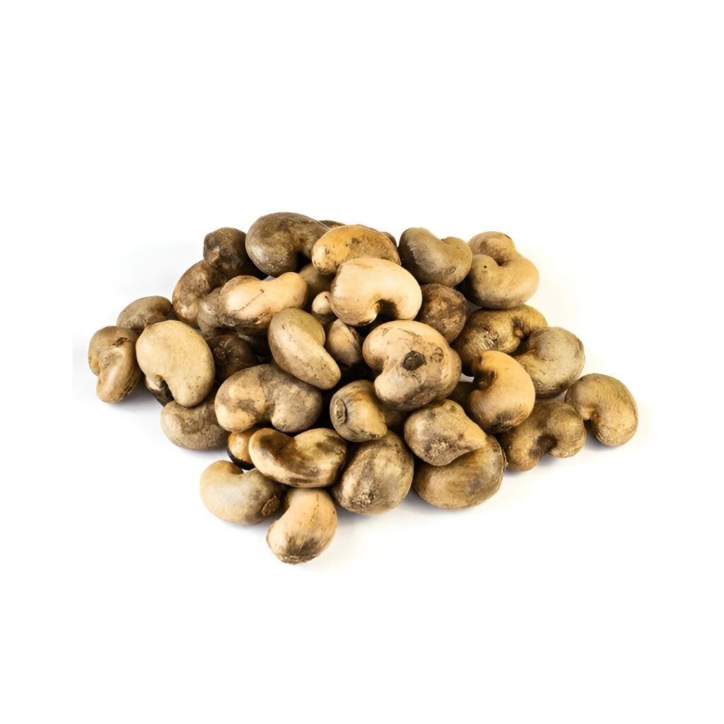 Cashew